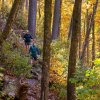 Husband and wife hiking down trail surrounded by bright fall foliage