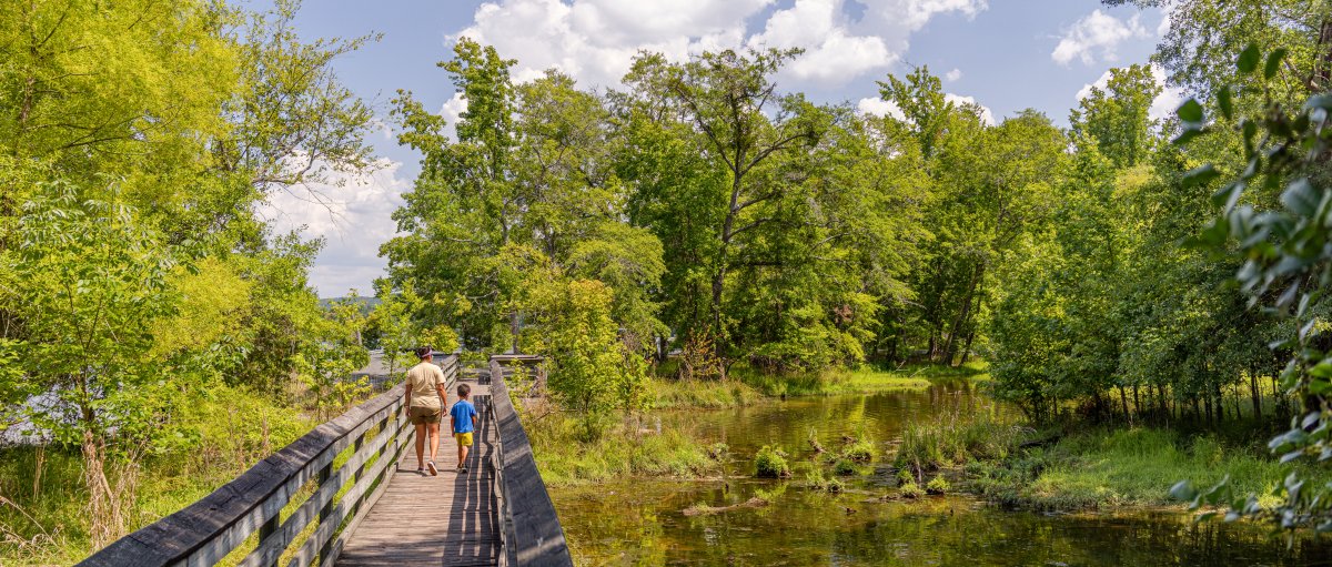 A mother and son walk across an elevated footbridge, gazing down at a creek below in Morrow Mountain State Park.