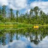 Friends canoeing down river surrounded by cypress trees during daytime