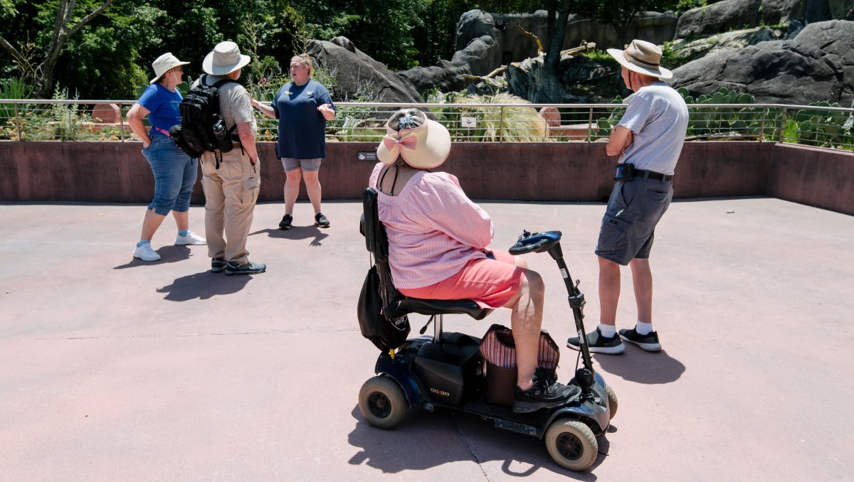 Woman in motorized scooter looking at animal exhibit at NC Zoo