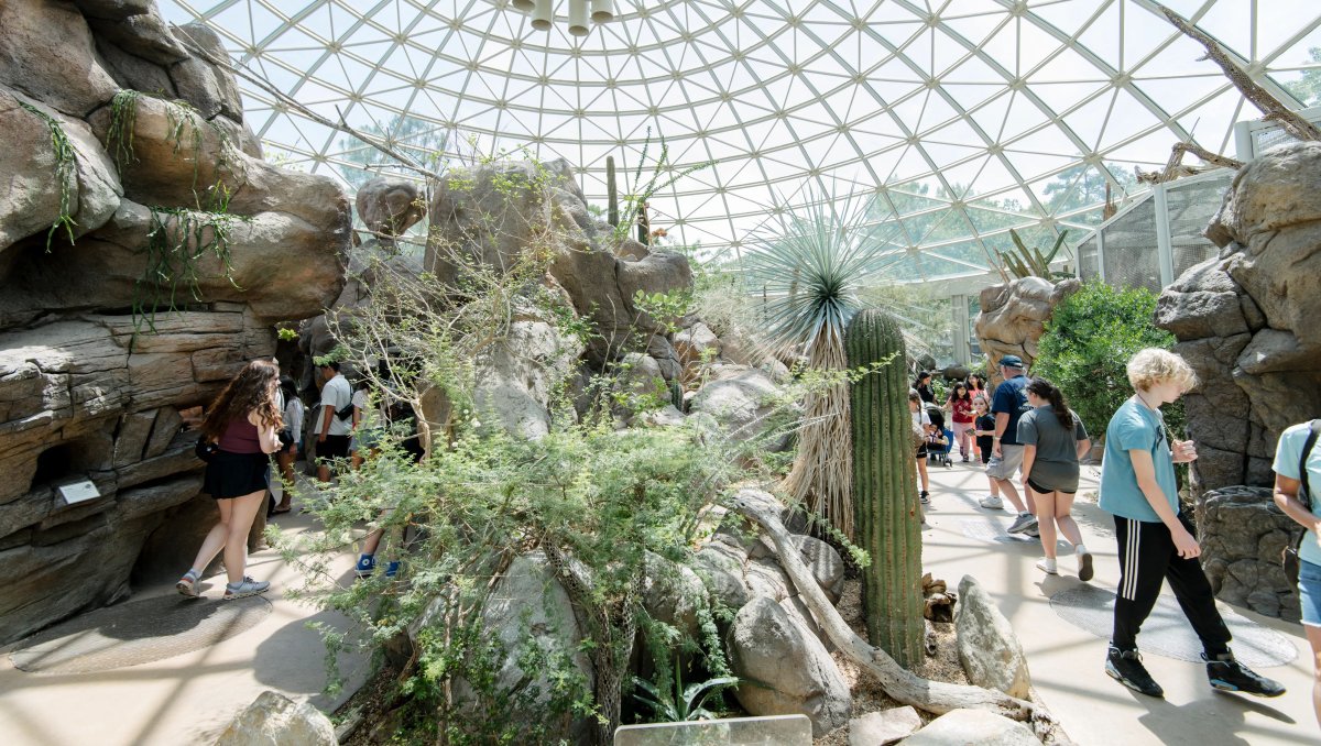 People enjoying desert exhibit inside at NC Zoo