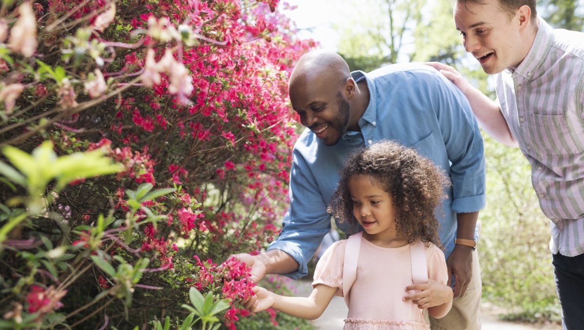 Family of 3 looking closely at pink flowers on Biltmore's grounds