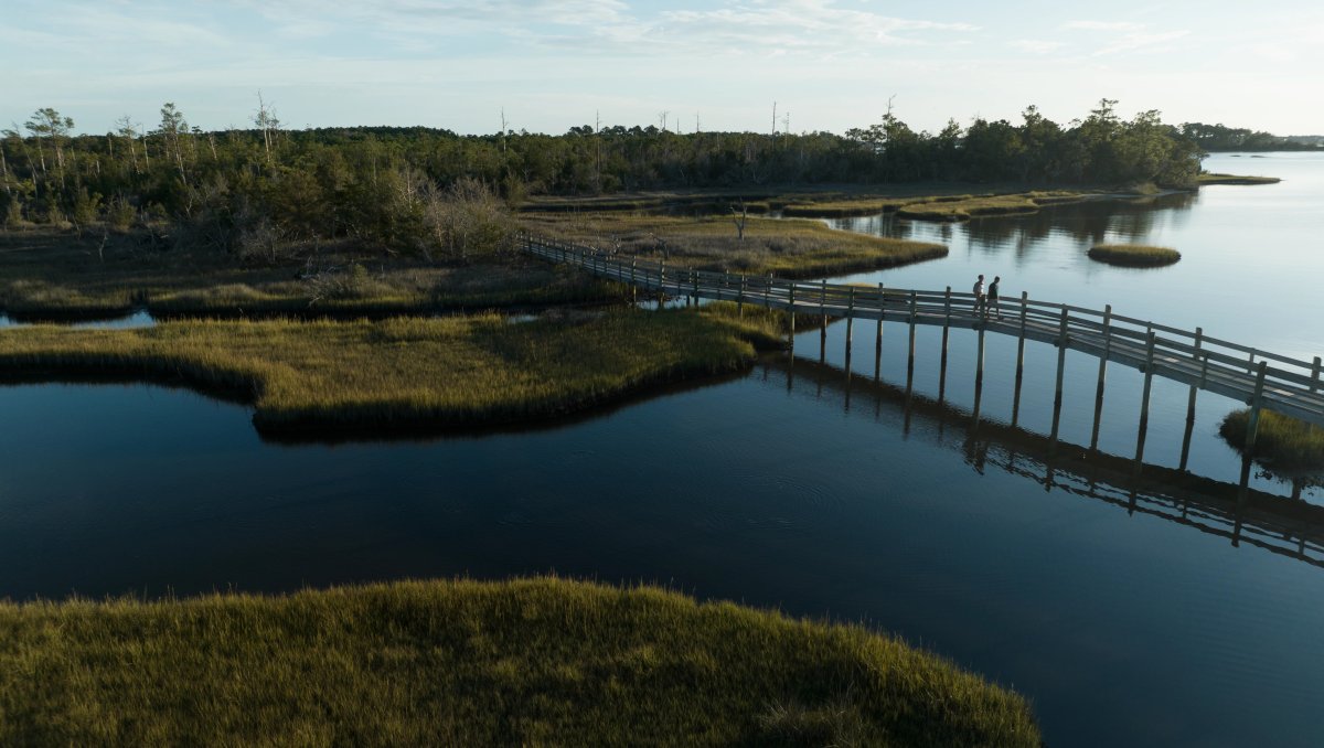 Aerial of national coastal forest with water, marshes and a wooden bridge