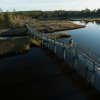 Aerial of two people walking on bridge over marsh in coastal forest