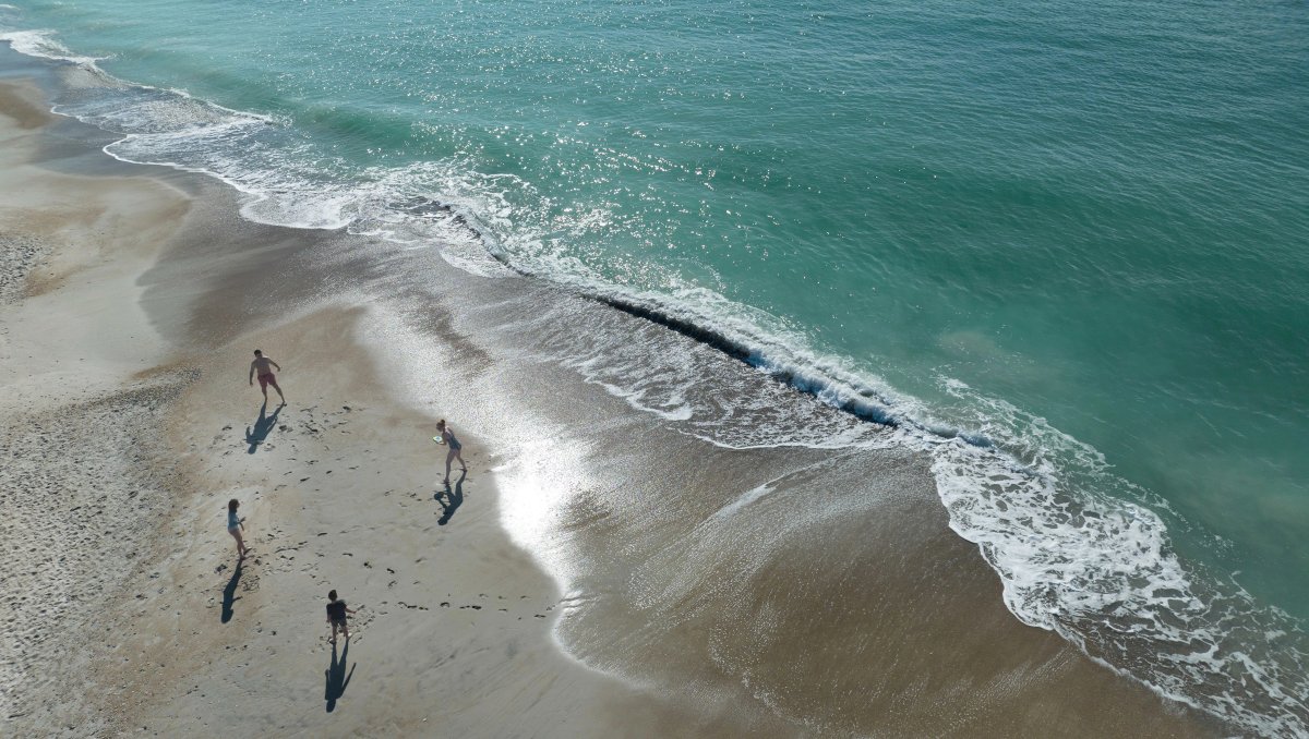 Aerial of family throwing frisbee on sand near clear, calm ocean