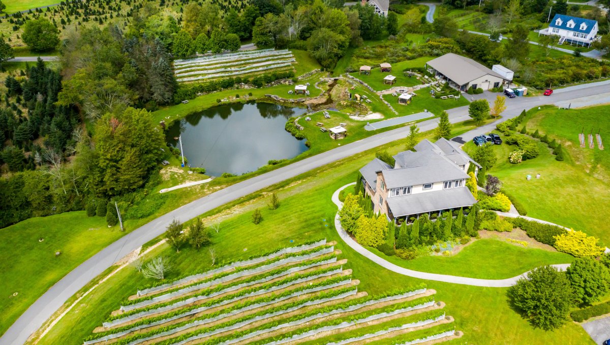 Aerial of winery grounds with buildings, vineyards and a pond