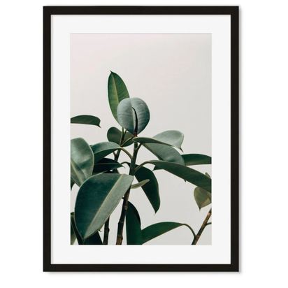 BOTANICALS PORTRAIT ART PRINT, with black frame & mount 