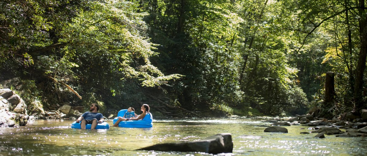 Family tubing down river surrounded by green trees