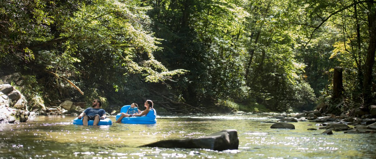 Family tubing down river surrounded by green trees