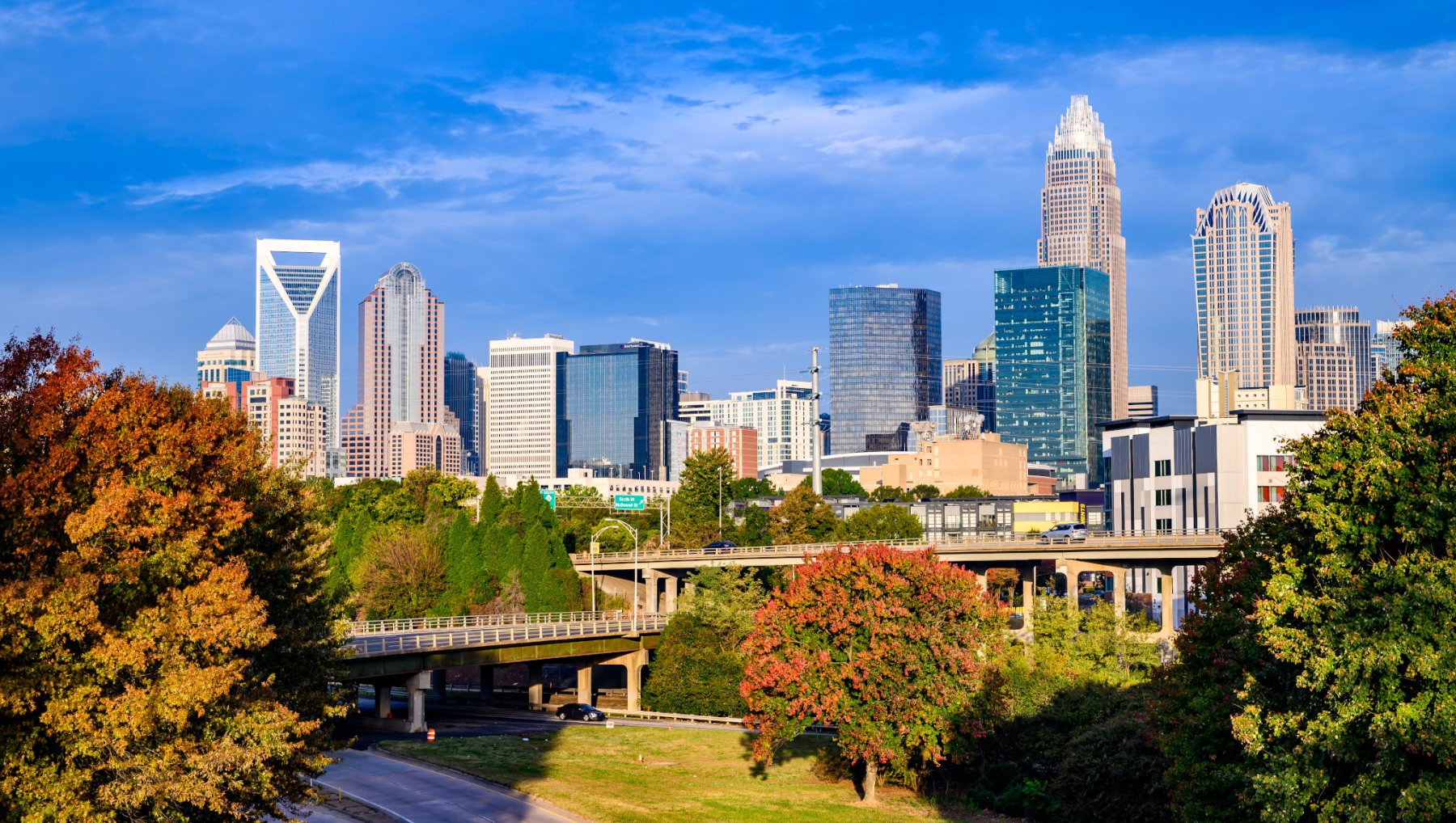 A city skyline with a bridge and trees