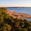 Aerial of trees, sandy beach and blue lake with shoreline in background