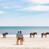 Couple standing on beach watching wild horses near ocean