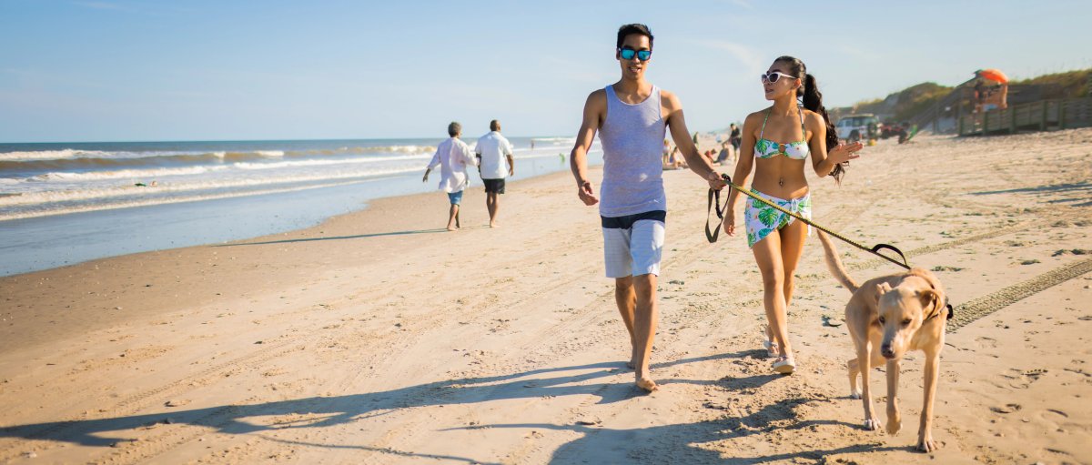 Couple walking dog on beach alongside ocean during sunny day