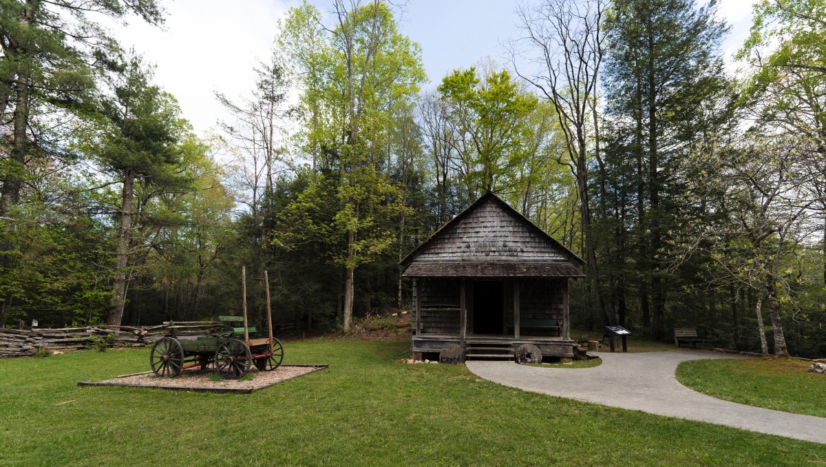 House and wagon on display surrounded by green trees and foliage during daytime