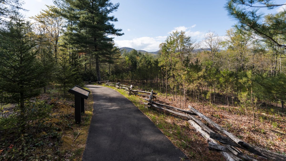 Paved walking trail with display on left, surrounded by green trees and foliage during daytime