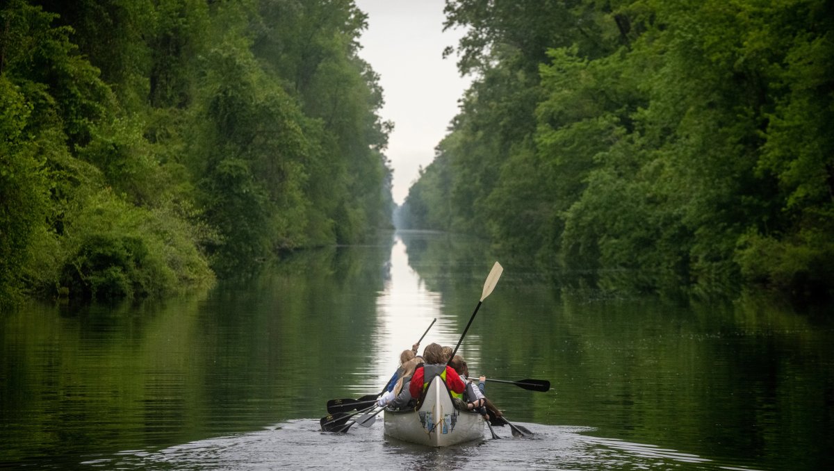 Back of people in canoe paddling down canal, with green trees and foliage on either side during cloudy daytime