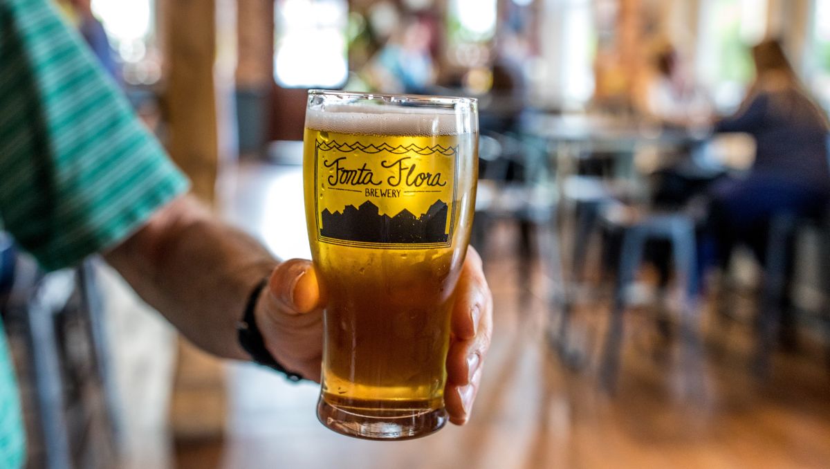 Hand holding golden beer with taproom out of focus in background