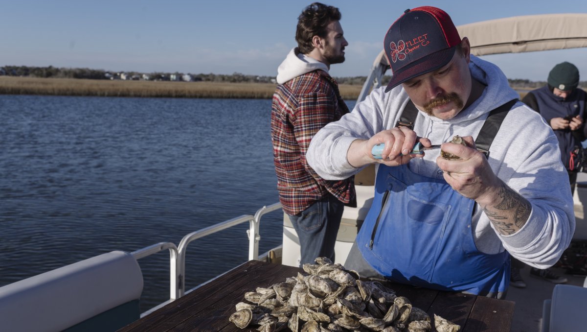 Man shucking oysters on boat in water with guests in background