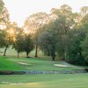 Empty golf course's greens with sun shining through trees