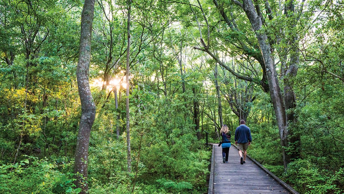 hiking in Corolla