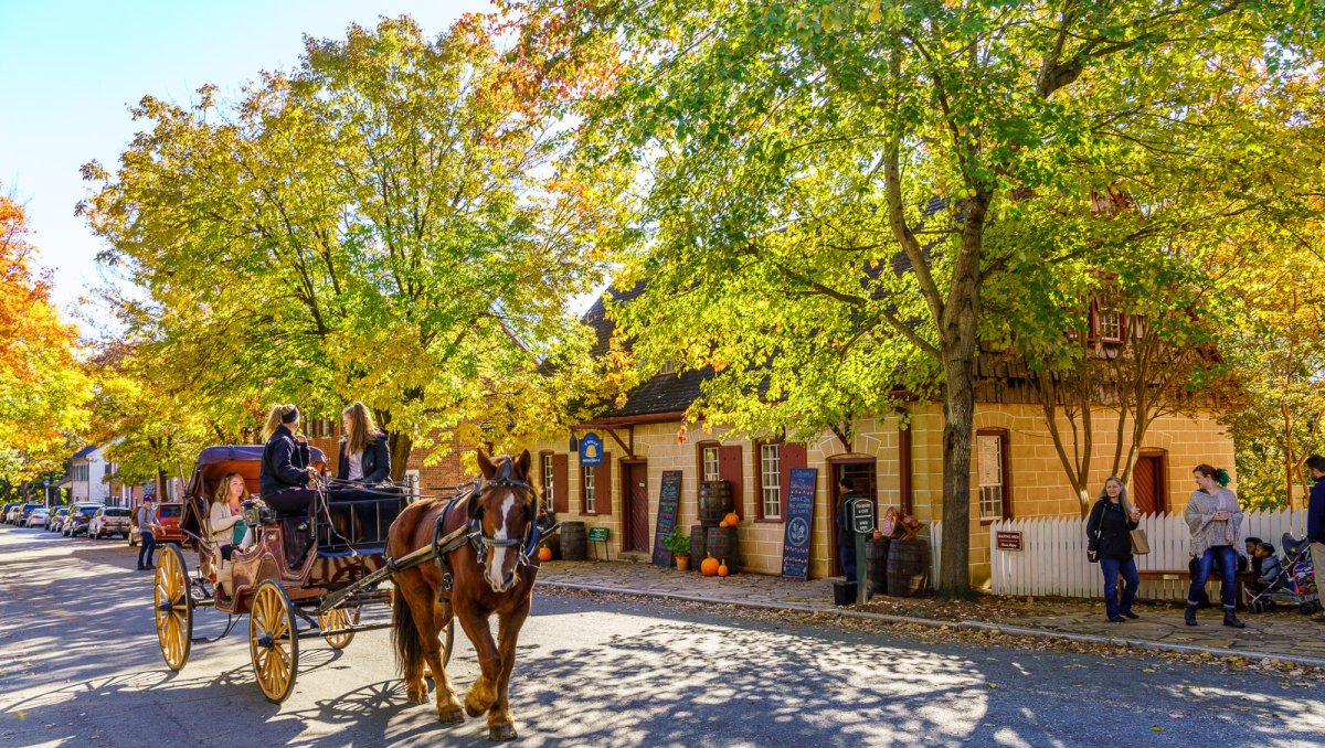 horse carriage at Old Salem Museum & Gardens