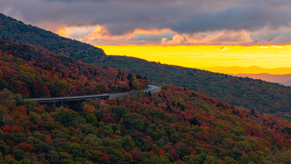 Linn Cove Viaduct surrounded by almost fall peak colors under bright yellow sky