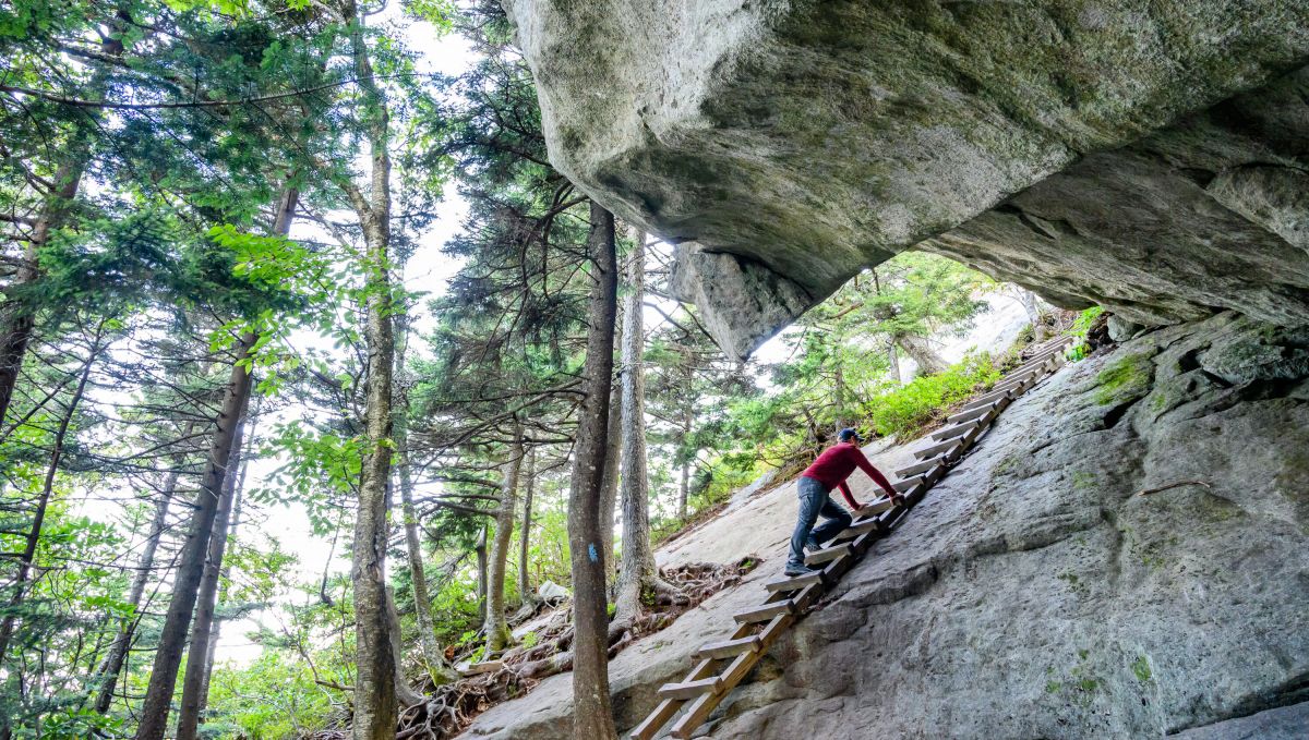 Man climbing Macrae Peak ladder up rock at Grandfather Mountain with green trees in background