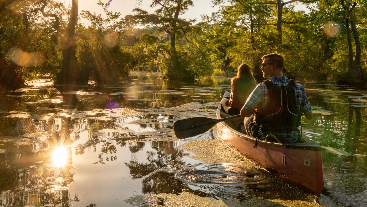 Couple canoeing through Merchants Millpond State Park with sun streaming through trees