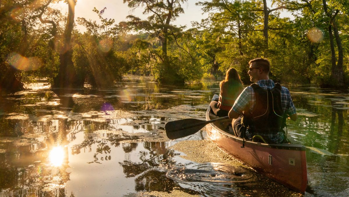 Couple canoeing through Merchants Millpond State Park with sun streaming through trees