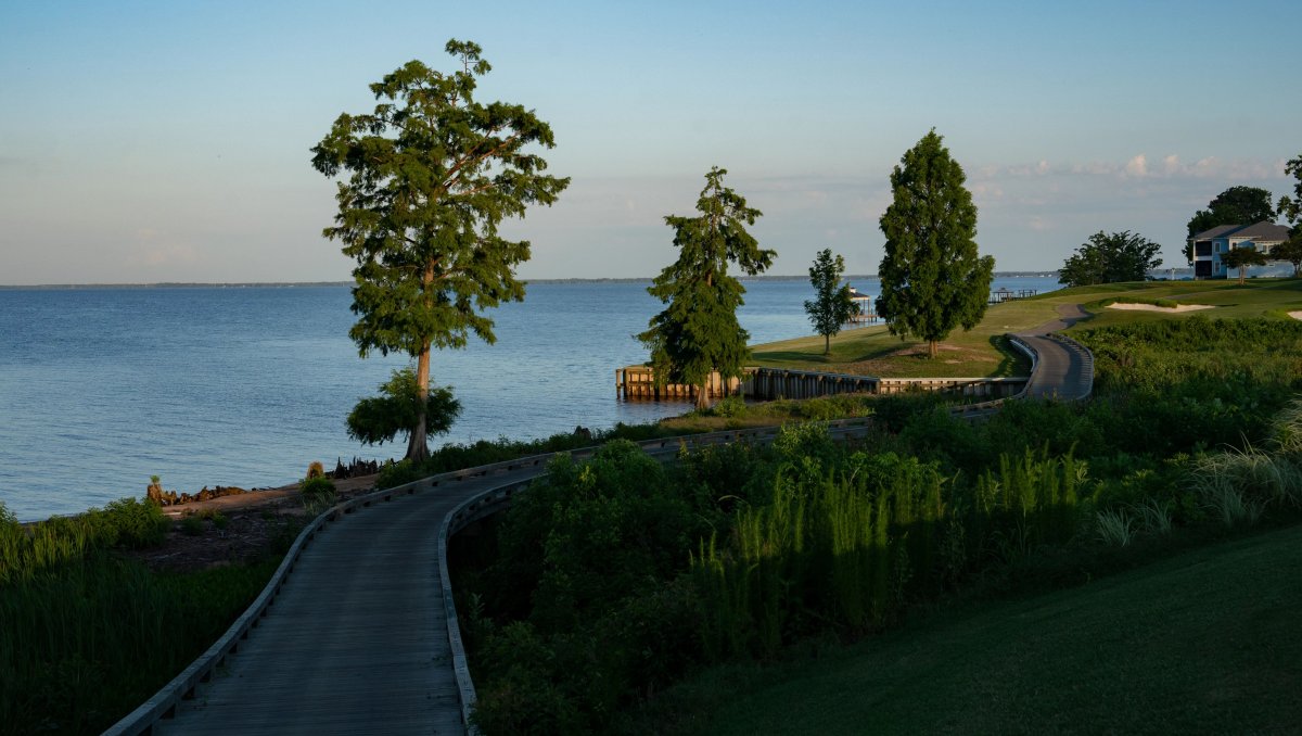 Golf course path meandering along shoreline with plants and trees surrounding path