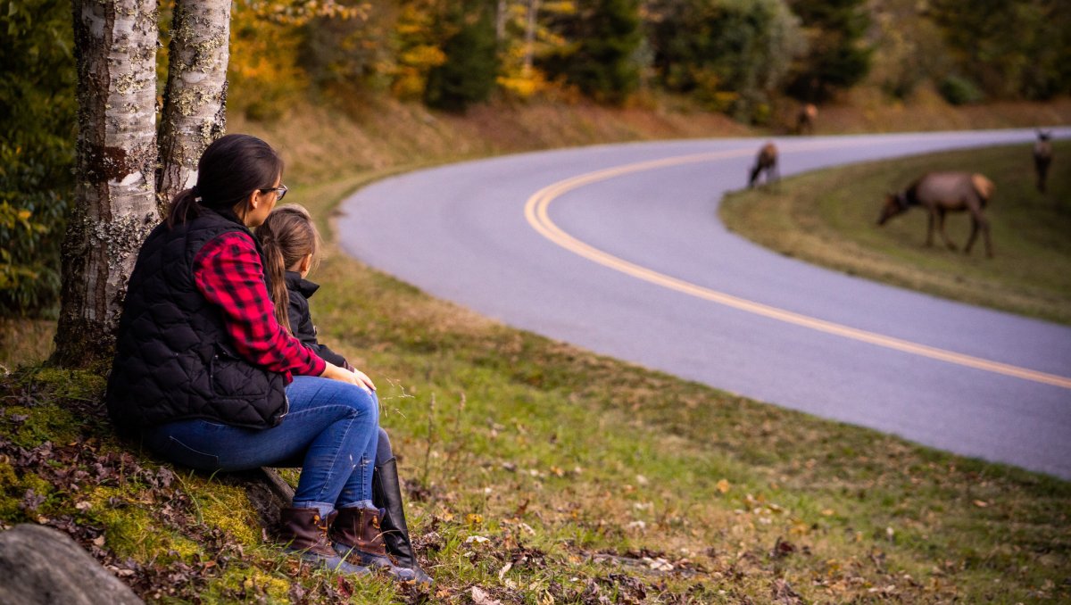 Mom and daughter sitting on bank of road watching elk graze in the distance