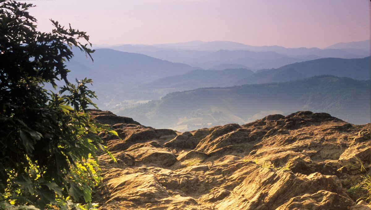 View of mountains in distance from hiking trail on Mount Jefferson State Natural Area