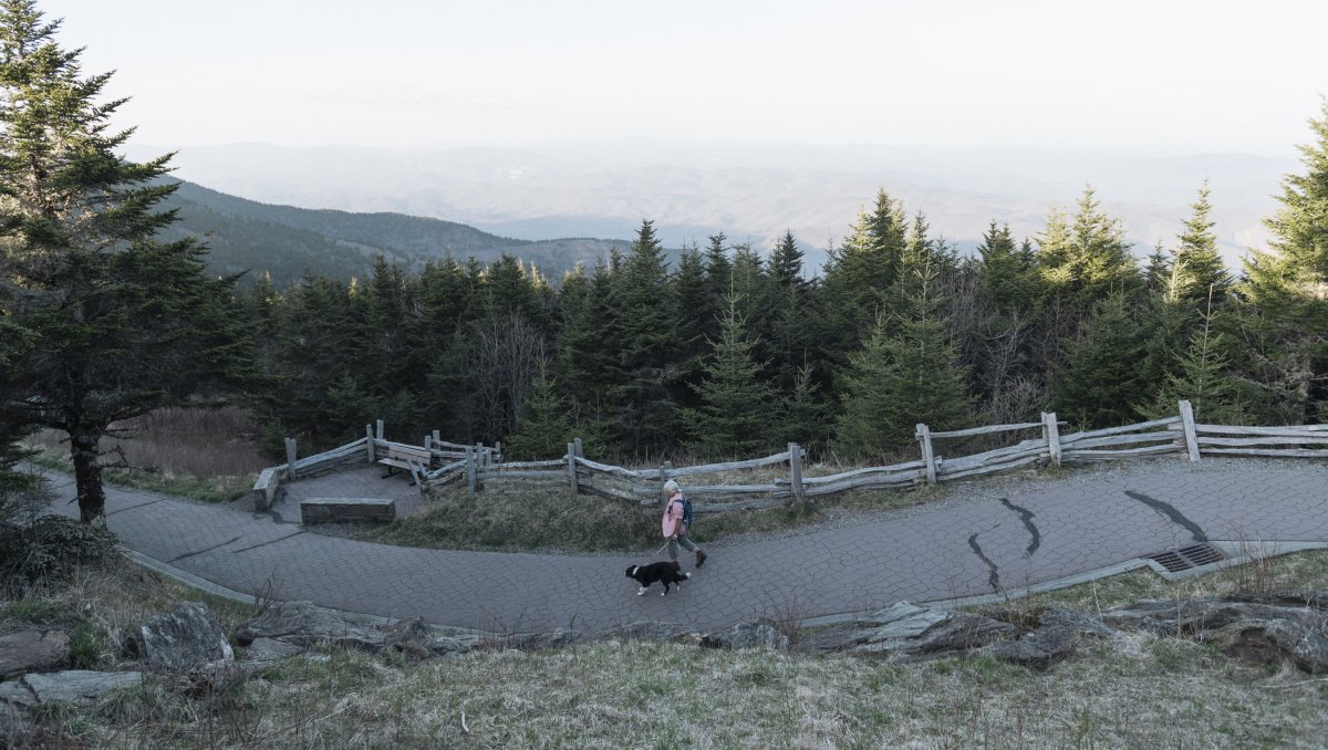 Person walking dog on paved trail with trees and mountain vistas in backbround