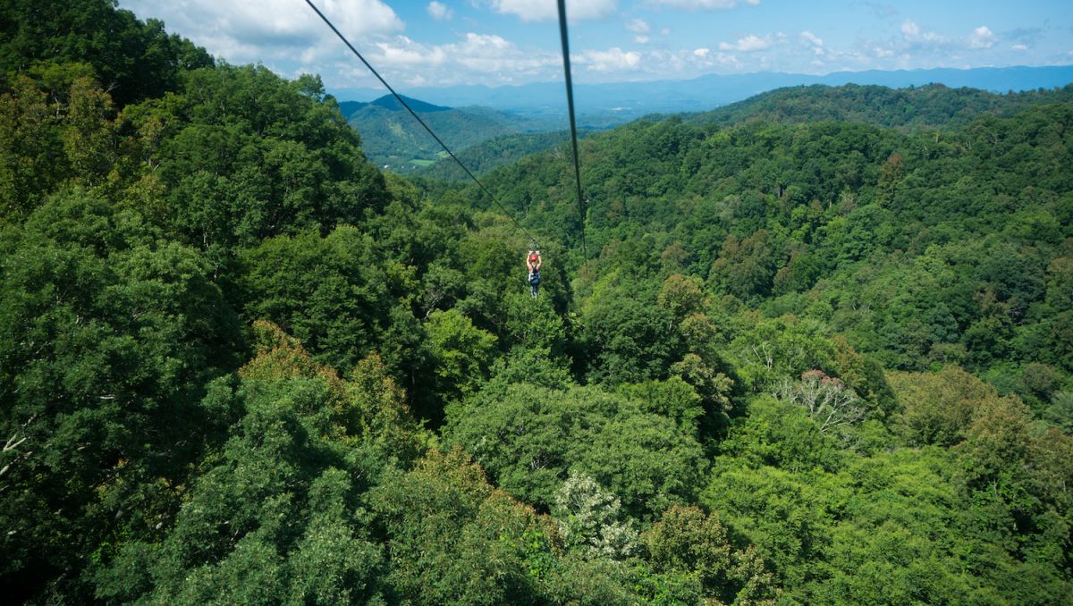 Person riding down zip line into green trees on sunny day at Navitat Canopy Adventures