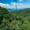 Person riding down zip line into green trees on sunny day at Navitat Canopy Adventures