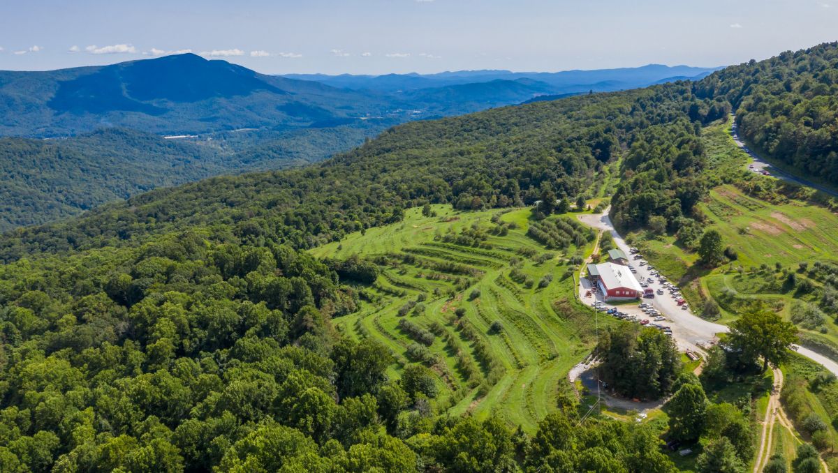 Aerial of Orchard at Altapass with green trees surrounding grounds with mountains in background