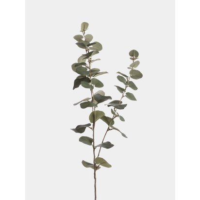 P faux eucalyptus 1 1000x