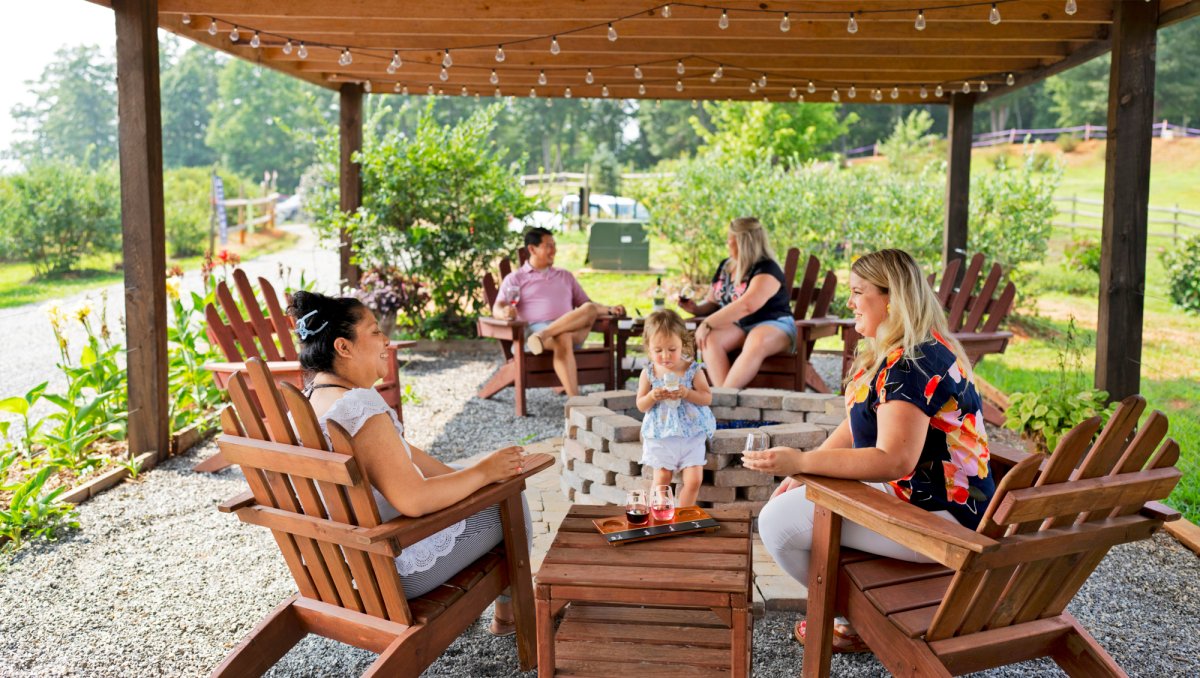 People enjoying wine on outdoor covered patio during daytime