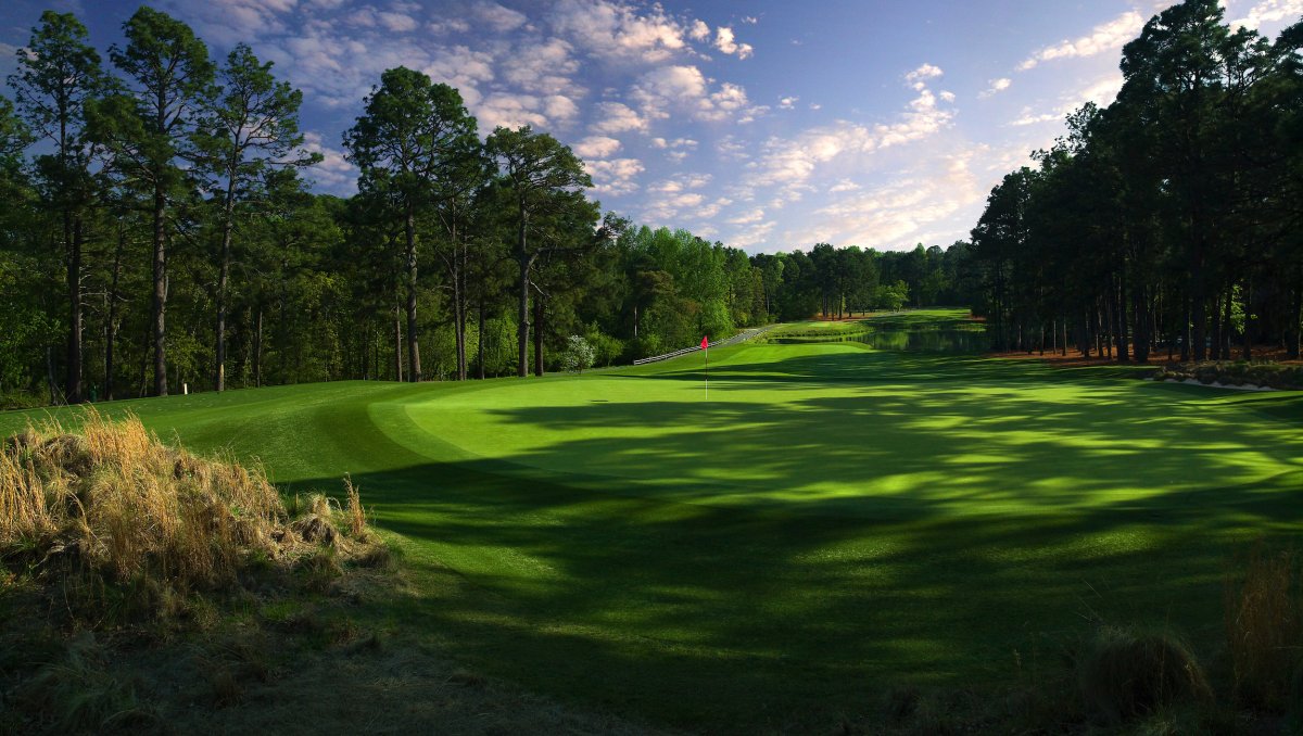 Greens on Pine Needle Lodge & Golf Club course