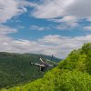 Person zip lining over bright green trees with mountains in background