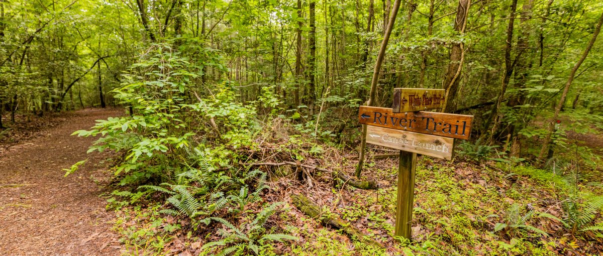 Trail markers on side of wooded trail in nature preserve