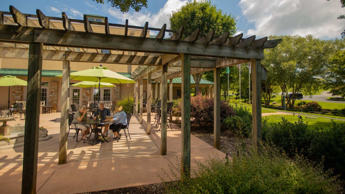 Friends enjoying wine on pergola-covered patio at Shelton Vineyards during daytime