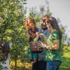 Sky Top Orchard family picking apples