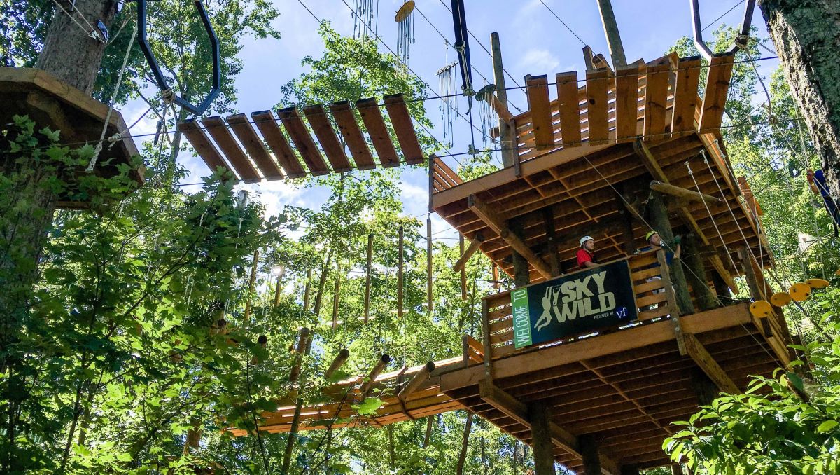 View from ground of trees, aerial bridge and 2 men on wooden platform at SKYWILD Treetop Adventure Park