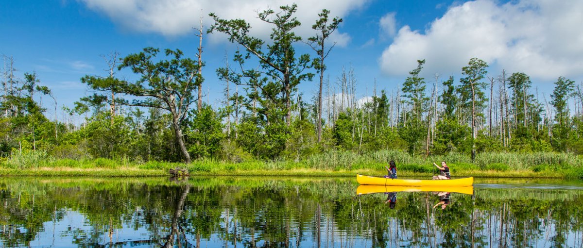 Two friends paddling in yellow kayak on calm river with cypress trees in background