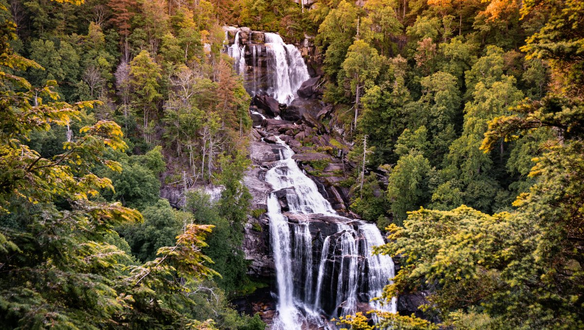 Large waterfall surrounded by bright green trees