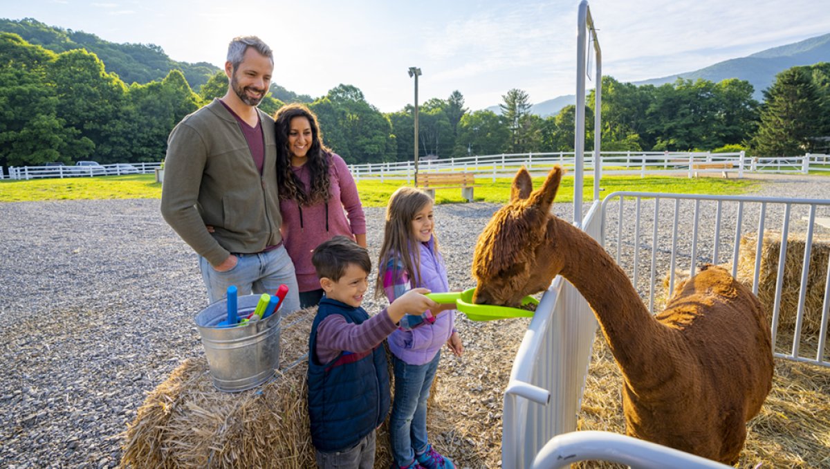 Parents watching kids feed alpaca at farm with mountains in background