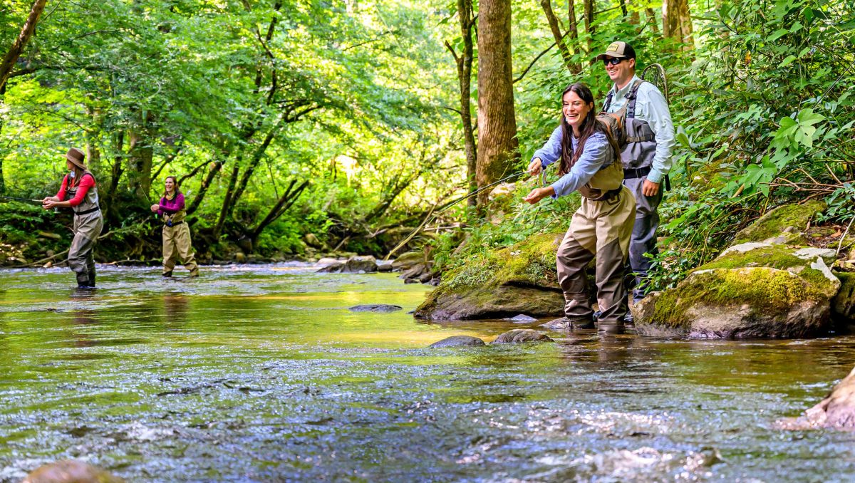 Four people fly flishing on the Tuckasegee River with green foliage