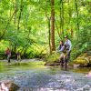 Four people fly flishing on the Tuckasegee River with green foliage